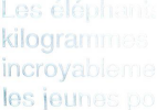 Une illustration de la photophobie : sur cette image, les mots deviennent de plus en plus pâles jusqu'à disparaître.